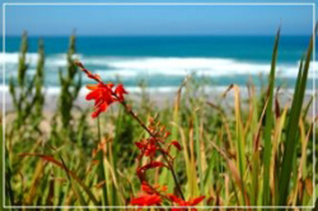 Mes Amis Beach Guest House Wilderness Bagian luar foto